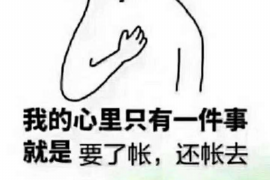 随县债务清欠服务